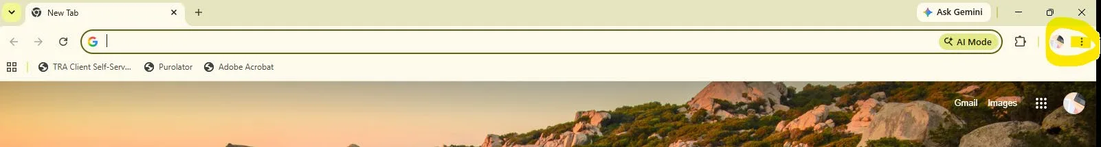 Google Chrome toolbar with the three-dot menu highlighted